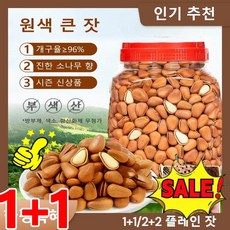 1/1+1 [인기 아이템] 백년 수령 홍송 잣 내추럴 소나무 향 볼륨한 잣 개구율96%/ 진한 소나무 향/시즌 신상품, 250g/캔*(1+1), 250g, 2개