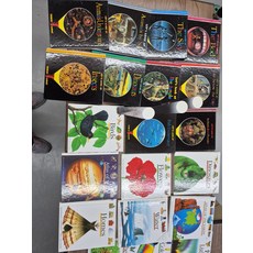 [개똥이네][중고]첫발견 -My First Discoveries 30권 + CD 6장