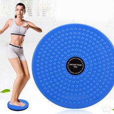 트위스트원반 가정용허리돌리기운동기구, 1개