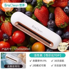 冰箱除味器 家用臭氧殺菌除菌機 食物保鮮淨化消毒器 多功能除味器, [標準款]活性氧除味*30天續航