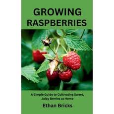 (영문도서)Growing Raspberries: A Simple Guide to Cultivating Sweet Juicy Berries at Home Paperback, Independently Published, English, 9798285647423