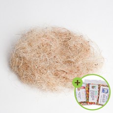 퀴코 둥지풀 코코넛 야자풀 산란준비 알통 새둥지, 1개