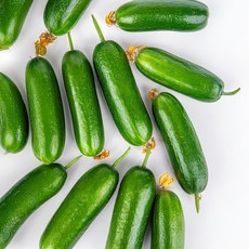 국내산 미니오이 1kg 2kg, 미니 오이 1kg, 1개