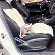 기능이 있는 고양이와 사용 적합합니다. 기능이 있어 얼룩 차량용 앞좌석과 쿠션입니다. 강아, E. 베이지 조수석 방수