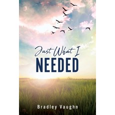 (영문도서) Just What I Needed Paperback, Xulon Press, English, 9781662823794