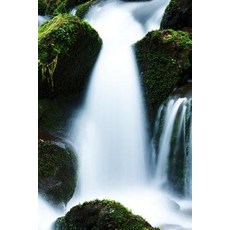 (영문도서) A Pretty Creek: Creeks Streams and Waterways in General Are Known as Surface H... Paperback, Independently Published, English, 9781797676951