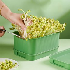 집에서 콩나물키우기 콩나물 재배기 시루 체험학습 집콕 자동재배 H580-O, 02.재배기 그린 H581, 1개