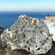 天然珊瑚石 咕咾石 單顆3500元 魚缸造景組 水族箱裝飾 打造逼真海底世界, 1個