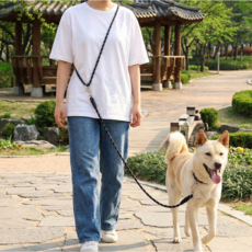 멍담 핸즈프리 리드줄 튼튼소재 빛반사 산책줄, 1개, 블랙
