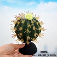 머스코 자동차 선인장모형 안테나 볼 장식용품, 옐로우 플라워 선인장 받침대 포함