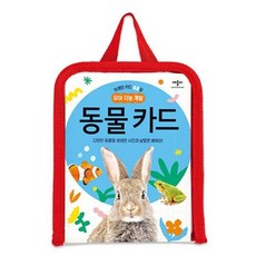 브레인 카드 48장 유아 지능 개발 동물 카드 - 유아 지능 개발 카드, 상품명