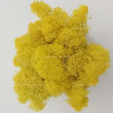 인공 녹색 식물 영원한 생명 DIY 잔디 홈 룸 미니 가짜 50g, 18)10g, yellow
