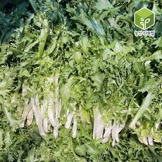 치커리 2kg 2박스 묶음, 1개