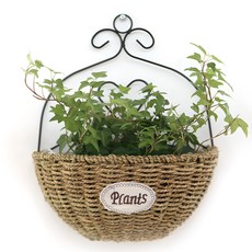 Tomorrow's space 仿藤編壁掛花盆, 混色, 1個