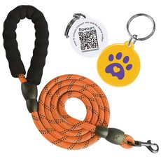 포덕트 빛반사 리드줄+태그 세트, 1세트, 오렌지