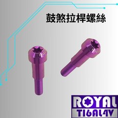 【瘋螺絲】ROYAL鈦合金螺絲 M5*25B, 1個, 皇家紫
