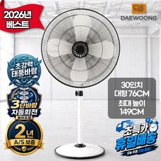 [2026년 신제품] 대웅 24/30인치 공업용 업소용 대형 선풍기, 30인치(DWIF-D30S)