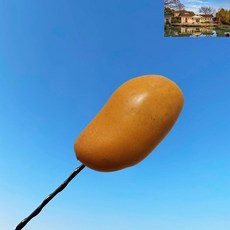 장식 귀여운 채소 꾸미기 실외 과일 호환 차량용 안테나볼 소품 튜닝 용품, 망고는 안테나를 달지 않는다.