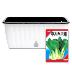라운드오프 간단한 저면관수 텃밭화분 set, 텃밭화분+청경채