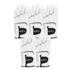 아놀드파마 양피덧뎀 골프장갑 (왼손), 블랙(5p), 5개