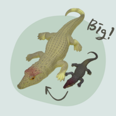 홈투홈 아쿠아퐁 촉감 놀이 장난감 물에 넣으면 커지는 공룡, 아쿠아퐁 - 악어