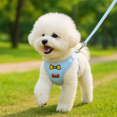 레브모 반사띠 안전버클 강아지 하네스, 블루, 1개