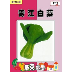 【野菜部屋】青江白菜種子 F03 - 450公克 (約189000粒), 1包