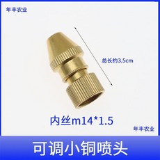 特漢農業 A15 台灣尖嘴銅直噴頭, 1個, 國產可調銅噴頭, 國產可調銅噴頭