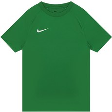 나이키 드라이 핏 파크 8 반팔 헬스 운동 러닝 트레이닝 후면 메쉬 저지 티셔츠