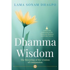 (영문도서)Dhamma Wisdom: The flowering of the wisdom of compassion Paperback, Green Hill Publishing, English, 9781923386556