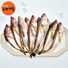 제철 도루묵 묵호항 알도루묵, 1개, 급냉 도루묵 1팩 500g (5-7미 내외)