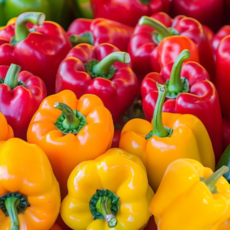 못난이 파프리카모음 색상혼합 빨강 노랑(1kg 2kg 3kg) 가락시장 직배송 푸르름팜, 1KG, 1개