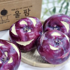 국내산 울팜 고당도 콜라비, 1개, 3kg