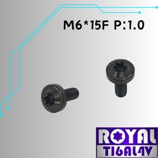 ROYAL 鈦合金螺絲 M6*15F P:1.0 飛碟頭螺絲 帝王黑, 1個
