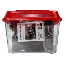 브라더팜 장수풍뎅이 애벌레 사육세트 레드 중형, 1개