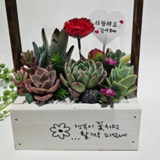 다육아트 카네이션 나무바구니 어버이날 스승의날 꽃바구니 (선물용), 투명가방 1p, 1개