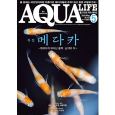 2024년 아쿠아라이프 5월호 [메다카 ～화려하게 피어난 삼색·홍백의 미～], 단품, 단품