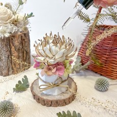 癒森林 THE FOREST 虹夕花舞 香氛擴香花, 春暮里虹夕花舞香氛擴香花（贈送5ml香氛油）
