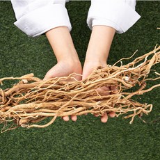 제천 국산 5년근 통황기 국내산 약초, 1개, 100g