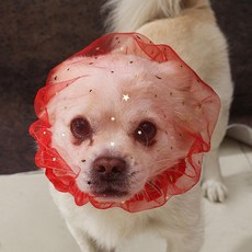 제프노 강아지페이스커버 방지 강아지 페이스커버, 1개입 스타라이트 레드, 1개