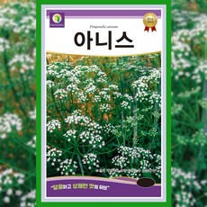 아니스 씨앗 1g 허브 종자 향신료 허브씨 미나리