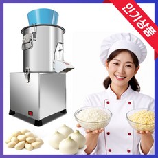 성진키친 업소용 야채다지기 양파 마늘 다지기 분쇄기 전동 믹서기 식당 음식점 양념 대용량, FSY-240 (B)