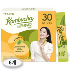 티젠 콤부차 매실, 5g, 30개입, 6개
