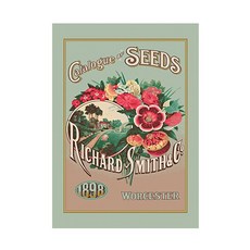 울스터위버스 티타올(CATALOGUE OF SEEDS), CatalogueOfSeeds, 1개