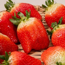 달콤한 제철 논산 설향 딸기, 1박스, 설향 350g상(15~20구)