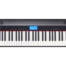 ROLAND GO-61P 61鍵 電子琴 公司貨, 1個