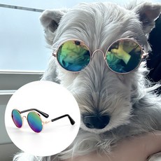KC 강아지 고양이 선글라스 레인보우 썬그라스