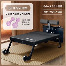 홈트레이닝 전용 기구 복근 등받이 로만체어, 근력 증가 콤보 엘리베이터+6L