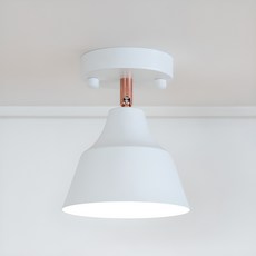 hit LIGHTING Ner 1燈吸頂燈 照明, 白色, 1個