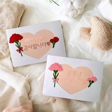 카네이션 기프트 카드 토퍼 스승의날 어린이집 유치원 선생님 카드 선물, 원장선생님감사합니다, 핑크, 1개